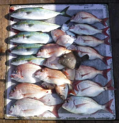 敏栄丸の2025年10月17日(金)1枚目の写真