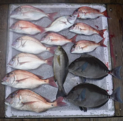 敏栄丸の2025年10月18日(土)1枚目の写真