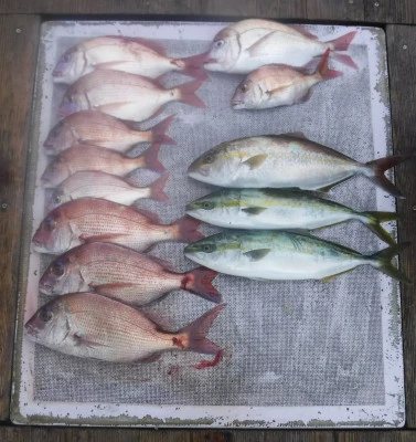 敏栄丸の2025年10月18日(土)2枚目の写真