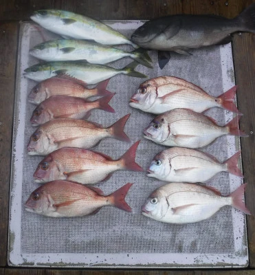 敏栄丸の2025年10月18日(土)3枚目の写真