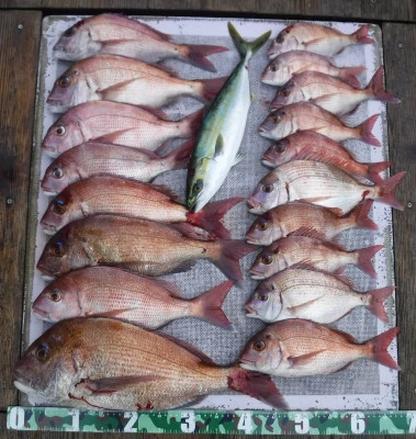 敏栄丸の2025年10月19日(日)2枚目の写真