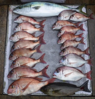 敏栄丸の2025年10月19日(日)3枚目の写真