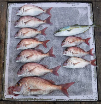 敏栄丸の2025年10月21日(火)1枚目の写真