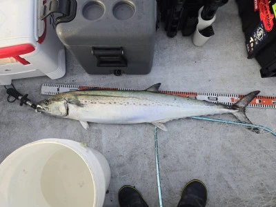 名勝丸の2025年10月23日(木)5枚目の写真