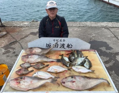 坂田渡船の2025年10月20日(月)1枚目の写真