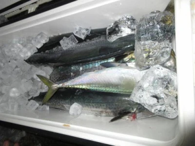 鈴木釣具店の2025年10月2日(木)2枚目の写真