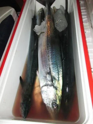 鈴木釣具店の2025年10月3日(金)1枚目の写真