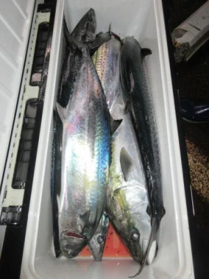 鈴木釣具店の2025年10月11日(土)1枚目の写真