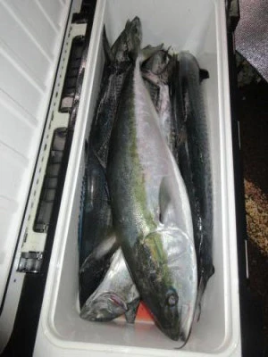 鈴木釣具店の2025年10月11日(土)2枚目の写真