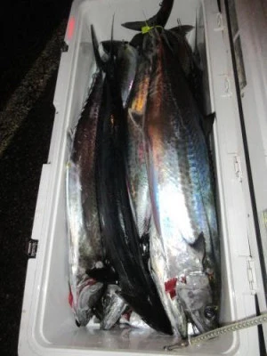 鈴木釣具店の2025年10月11日(土)4枚目の写真