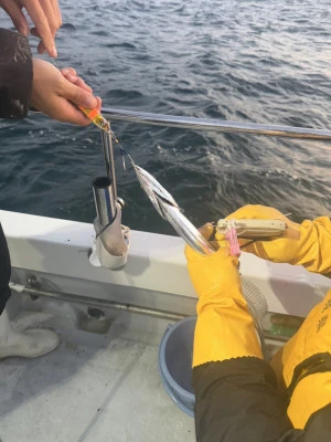 名勝丸の2025年10月24日(金)2枚目の写真