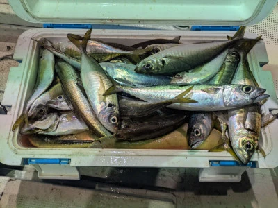 吉栄丸の2025年10月24日(金)1枚目の写真