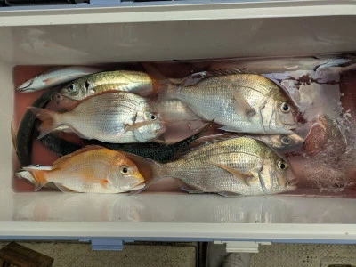 吉栄丸の2025年10月24日(金)2枚目の写真