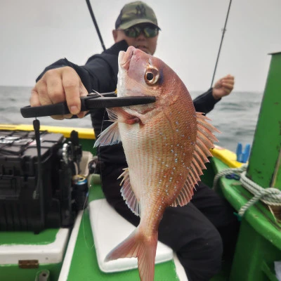 豊丸の2025年10月25日(土)2枚目の写真