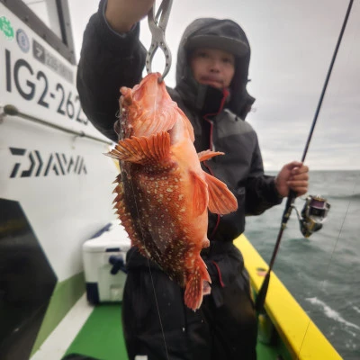 豊丸の2025年10月25日(土)4枚目の写真