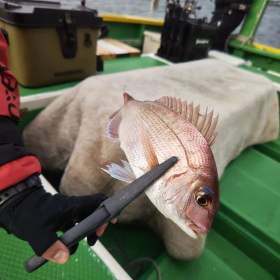 豊丸の2025年10月25日(土)5枚目の写真