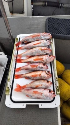 信栄丸の2025年10月25日(土)5枚目の写真