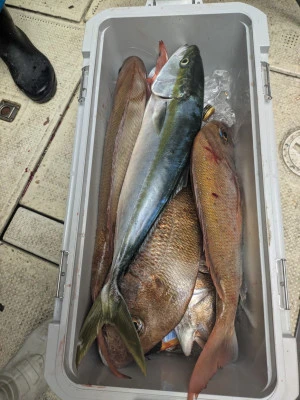 吉栄丸の2025年10月25日(土)2枚目の写真