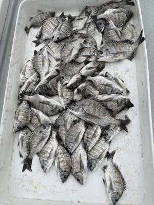 金丸渡船の2025年10月26日(日)3枚目の写真