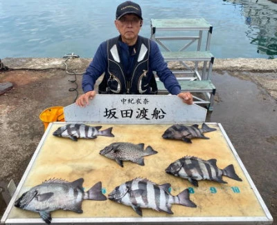 坂田渡船の2025年10月25日(土)2枚目の写真