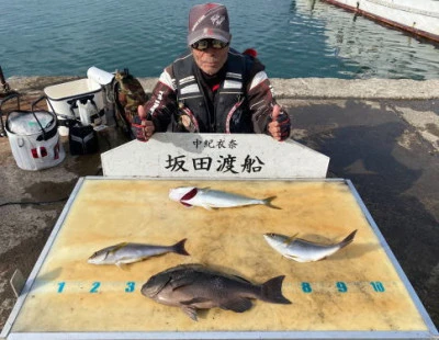 坂田渡船の2025年10月24日(金)4枚目の写真