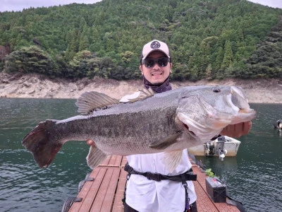 Y企画の2025年10月19日(日)2枚目の写真