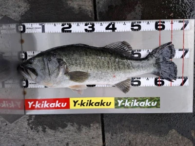 Y企画の2025年10月19日(日)3枚目の写真