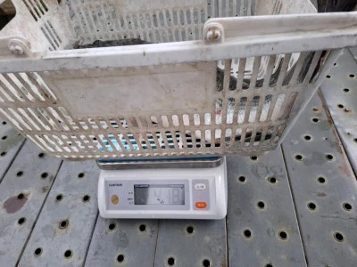 Y企画の2025年10月19日(日)4枚目の写真