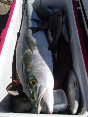 村井丸の2025年10月27日(月)5枚目の写真