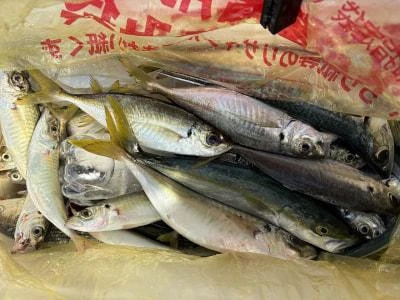 金丸渡船の2025年10月27日(月)1枚目の写真