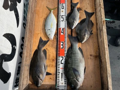 とせん丸の2025年10月29日(水)1枚目の写真