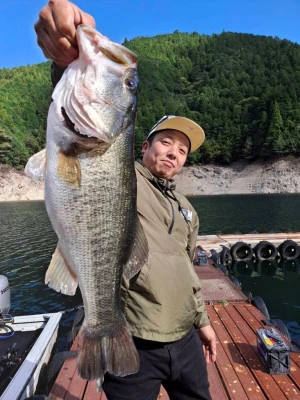 Y企画の2025年10月28日(火)1枚目の写真