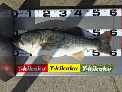 Y企画の2025年10月28日(火)3枚目の写真