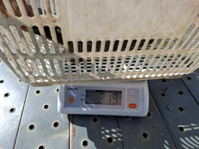 Y企画の2025年10月28日(火)4枚目の写真