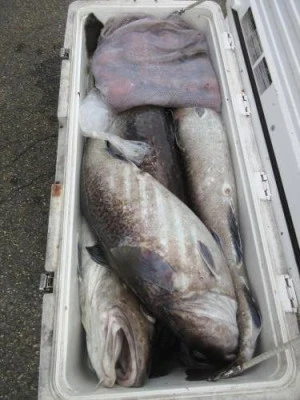 鈴木釣具店の2025年10月25日(土)2枚目の写真