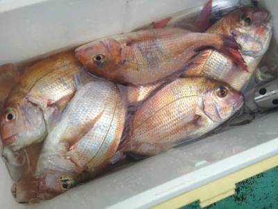 ゆたか丸の2025年10月22日(水)2枚目の写真