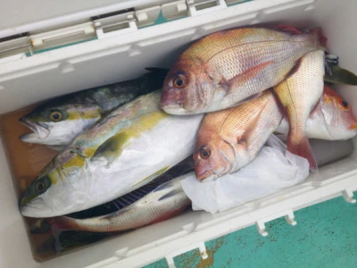 ゆたか丸の2025年10月22日(水)3枚目の写真