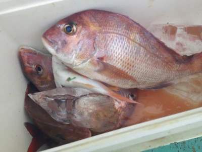 ゆたか丸の2025年10月22日(水)4枚目の写真