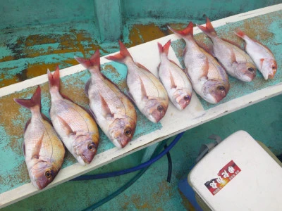 ゆたか丸の2025年10月22日(水)5枚目の写真