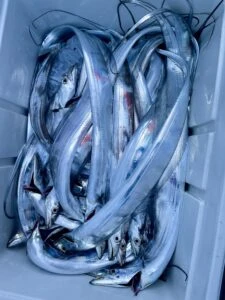 松新丸の2025年10月30日(木)5枚目の写真