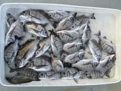 金丸渡船の2025年10月30日(木)1枚目の写真