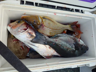 清家渡船の2025年11月2日(日)2枚目の写真