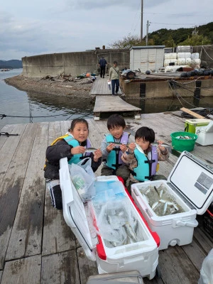 安乗釣センターの2025年11月2日(日)1枚目の写真