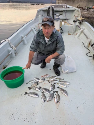 安乗釣センターの2025年11月2日(日)3枚目の写真