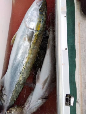 優幸丸の2025年11月2日(日)2枚目の写真