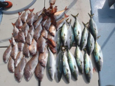 まお丸の2025年11月2日(日)1枚目の写真