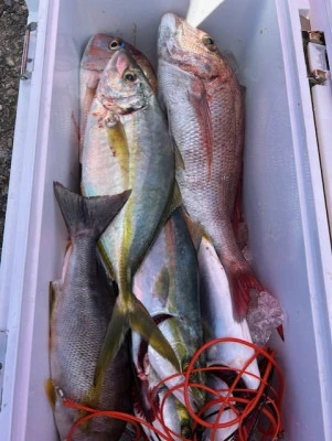 釣り船 黒潮丸の2025年11月3日(月)1枚目の写真