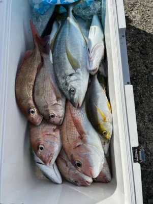 釣り船 黒潮丸の2025年11月3日(月)2枚目の写真