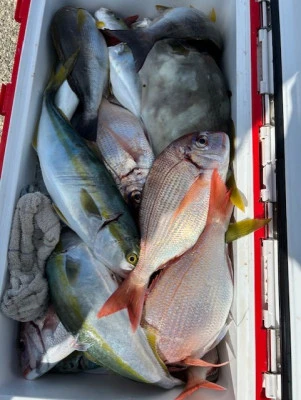 釣り船 黒潮丸の2025年11月3日(月)3枚目の写真