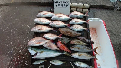 ヨシダマリンの2025年10月19日(日)1枚目の写真